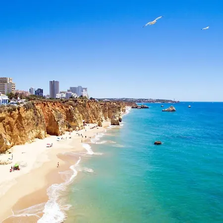 شقة A50 - Castelos In